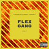 Flex Gang, Vol. 1