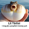 Lil Tbilisi - I mog dj L poopfart money yuh