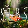 MECHAYRXMEO - S.L.B.S.