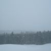 Mother Evergreen - Mother Evergreen