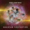 Quantum Fluctuation