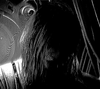 Darkshade - NIGHTFALL