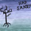 Had Sandy - Desire Paths