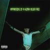 Apparitions of a Human Never Free