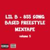 Lil B - 855 Song Based Freestyle Mixtape, Vol. 5