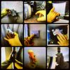 Dj James Naughty - Distorted Gloves