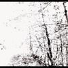 The White EP