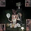 Hoso - Collectors Diary