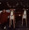 imagine we had antlers - imagine we had antlers