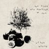 Often Wrong - The Figs Are Starting To Rot