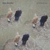 Francesca Bono & Vittoria Burattini - Ora Sono Un Lago