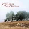 Jerry Garcia & David Grisman - Shady Grove