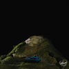 cr1tter - mountains & molehills