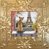KanyeKisser - Puppies in Paris