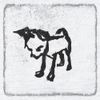 Salt Water Criminals - I Believe in Dog