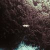 PEUR - Dogma Dance