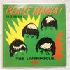 Beatle Mania! In The U.S.A