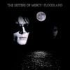The Sisters of Mercy - Floodland