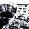 Magnum Zona - Frostbitten Psyche