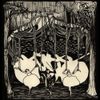 silk&lrm; - Invasive Spectators