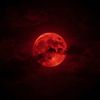 Peekagoo - Red Moon