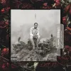 Calboy - Wildboy 2