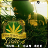 Afroman - Bud I Can See