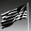 Home Of The Brave