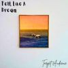 Target Audience - Felt Like A Dream