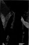 Merzbow - Material Action for 2 Microphone