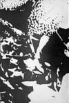 Merzbow - Expanded Music 2