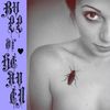 Bull of Heaven - 300: Songs for Girls