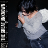 The Great Unknown