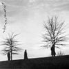 Nourishment - Nourishment