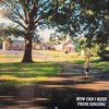 Potholes! - How Can I Keep From Singing