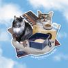 The Great Litterbox in the Sky