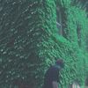 guardin - all i ever will be