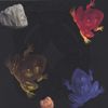 Merzbow - Frog