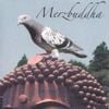 Merzbow - Merzbuddha