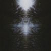 Luz