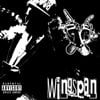 Wingspan
