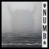 KSLV - Numb