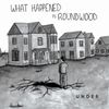 What Happened In Roundwood