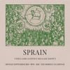 Sprain - The Lamb as Effigy Release Show