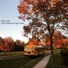 Billy Cobb - Pretty Songs for Ugly People