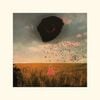 Billy Cobb - The Void