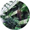 Zoo Look - Similar Steps EP