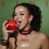 Amna - Zimi