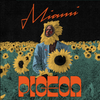 Pigeon - Miami