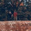 Domani - Time Will Tell